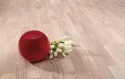 Дуб Тундра Белый, арт. POL9