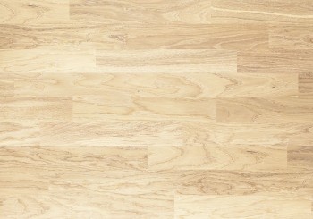   Focus FLoor  Calima . 3011278162018175