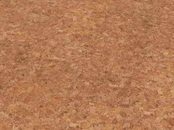Пробковые полы Corkstyle (Коркстайл) EcoCork P999 арт. ECO2 Пробковые полы Corkstyle (Коркстайл) EcoCork P999 арт. ECO2