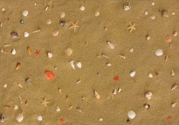 ��������� ���� Corkstyle (���������)  Fantazy Sandstrand ������� ���. FCF01