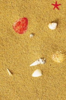   Corkstyle ()  Fantazy Sandstrand  . FCF01