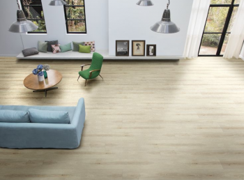 ������� Alloc (�����)  Grand Avenue ������� ���. 8541