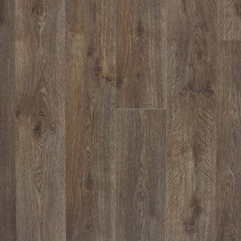 ������� Berry Alloc (����� �����)  Eternity ������ ���. 1341