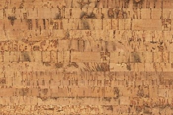 Пробковое напольное покрытие Wicanders (Викандерс) Go Pure Blase арт. C9D2001 Пробковое напольное покрытие Wicanders (Викандерс) Go Pure Blase арт. C9D2001