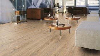 ������� Kronotex (���������)  Robusto ��� �������� ���. D3073