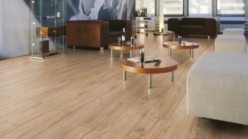 ������� Kronotex (���������)  Robusto ������� ������� ���. D4705