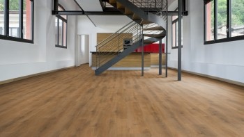 ������� Kronotex (���������)  Dynamic Plus ��� ����� ���. D3901