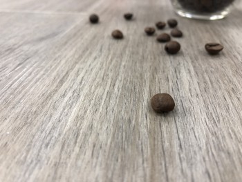 ������ ��� IVC (������)  Ultimo Click Casablanca Oak ���. 24236