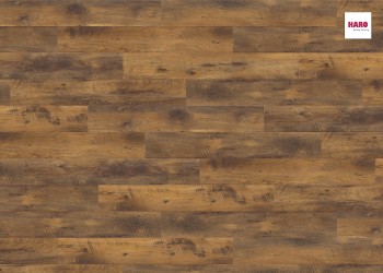  Haro ()  Tritty 100 4V   . 526678