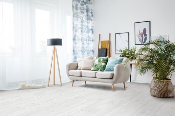 ������� Westerhof (���������)  Effect Premium ����� ���. PRK904