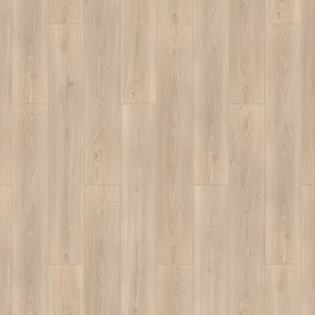  Tarkett ()  Estetica  . 504015080