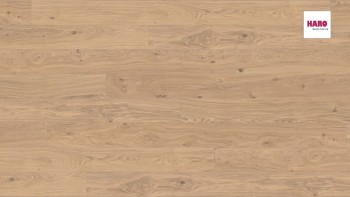   Haro ()  4000    . 527326