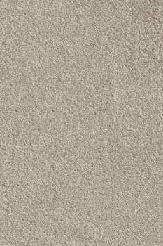 Ковролин Associated Weavers Spinta 37 (5м) арт. AWS37-5 Ковролин Associated Weavers Spinta 37 (5м) арт. AWS37-5