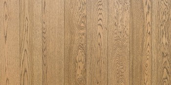   Focus FLoor     2000 . . 1011111072020175