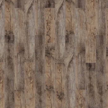 ������� Timber Forester ��� ������� ���. 504474003