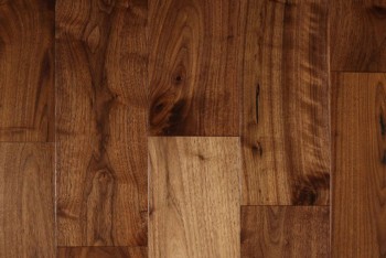   Magestik ()     165 . MAG31