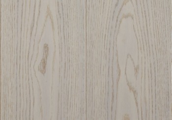   Focus Floor Smart   . 533646S