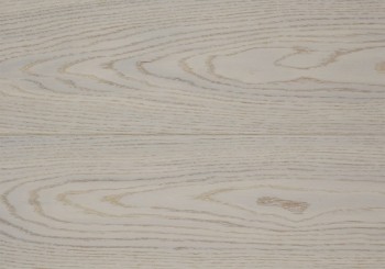   Focus Floor Smart   . 533646S