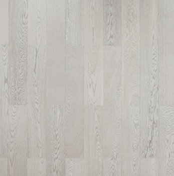   Focus Floor Smart   . 533646S