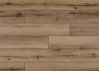  Arteo WR 8 S   . 54809