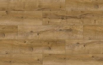 ������� Classen (�������)  Harmony Forte 4V WR ��� ������� FSC ���. 56612