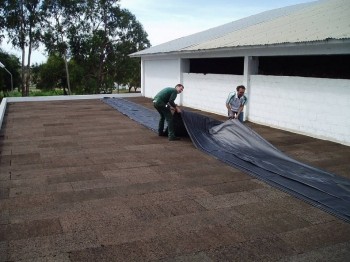 Пробковый Агломерат Черный 1000x500x25мм арт. BL1968 Пробковый Агломерат Черный 1000x500x25мм арт. BL1968