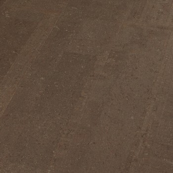 ��������� �������� Amorim Wise Cork Pure Fashionable Grafite � ������ 4V, ������������� ���. C95M001