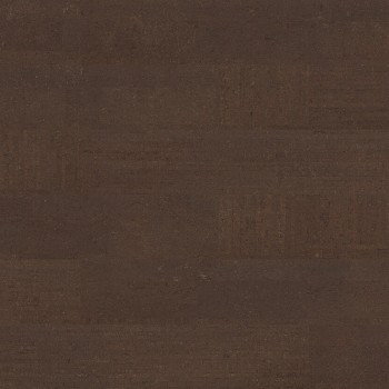   Amorim Wise Cork Pure Fashionable Grafite   4V,  . C95M001