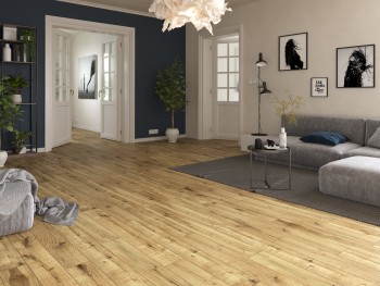 ������� Classen (�������)  Mystery 4V ��� ���� ���. 54431