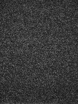  AW Terra Heathers 99 (4) . AWTer99