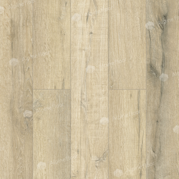 -  SPC Alpine Floor ( )  Premium XL   . ECO7-19