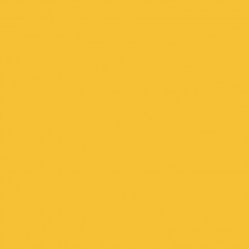 �������� Tarkett (�������)  Omnisports Action 40 Yellow ����� 2x20,5� (41�2) ���. 200212007