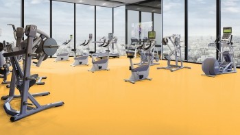 �������� Tarkett (�������)  Omnisports Action 40 Yellow ����� 2x20,5� (41�2) ���. 200212007