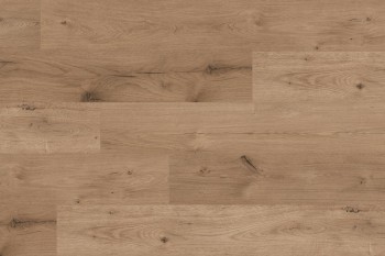 Ламинат Kaindl (Кайндл) Masterfloor Standart 8.32 Oak Ferrara Wildlife арт. K2142 AV Ламинат Kaindl (Кайндл) Masterfloor Standart 8.32 Oak Ferrara Wildlife арт. K2142 AV