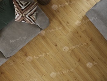 �������-���������� ������ SPC Alpine Floor (������ ����)  ProNature Caldas ���. 62543