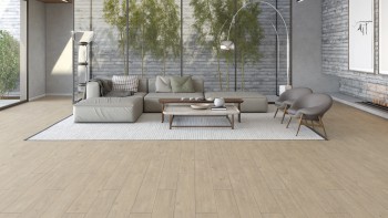 ������� Yildiz Varioclic Vista Petronas ���. YVCV03