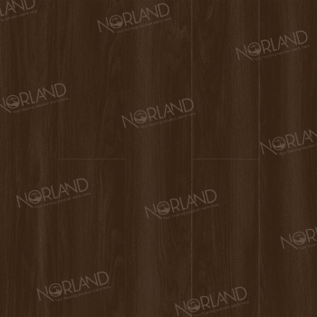  Norland Elegant   . LF301-22