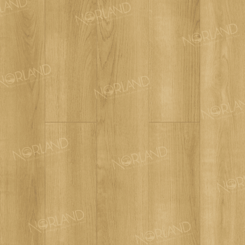 ������� Norland Elegant Strong ��� ����� ���. LF302-06