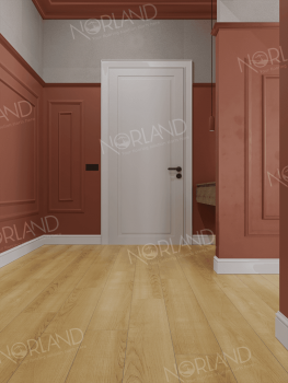 ������� Norland Elegant Strong ��� ����� ���. LF302-06