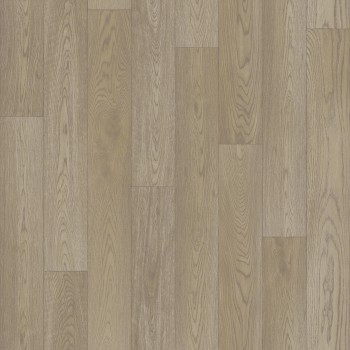 �������� Tarkett (�������)  Gladiator Calvados 1 ����� 3�20� ���. 230919062