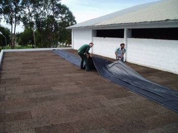    ECO Isocor 20  . PAEISO20