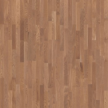 ��������� ����� Tarkett (�������)  Salsa Premium ��� ����������� ���� ���. 550170026