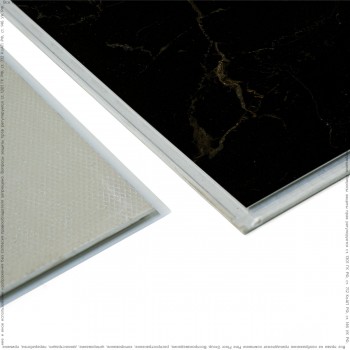 ��������� ������� SPC Alta-Step (�����-����)  Roca ���� ���. SPC1902