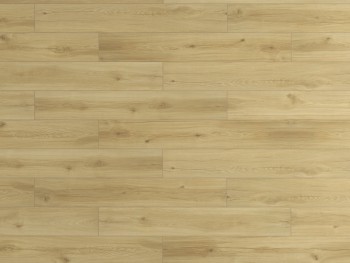  EverSense Classic    . EL1036