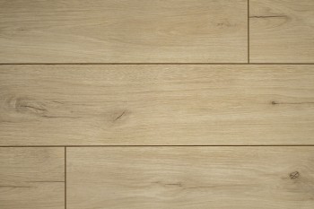  EverSense Classic    . EL1036