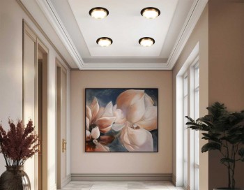 ���������� ������������ Ambrella light Techno spot ���. TU5020