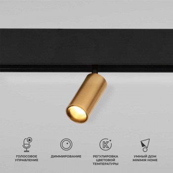 Òðåêîâûé ñâåòîäèîäíûé ñâåòèëüíèê Elektrostandard (Ýëåêòðîñòàíäàðò) Slim magnetic dim cantors 85071/01 ëàòóíü àðò. a063531 Òðåêîâûé ñâåòîäèîäíûé ñâåòèëüíèê Elektrostandard (Ýëåêòðîñòàíäàðò) Slim magnetic dim cantors 85071/01 ëàòóíü àðò. a063531