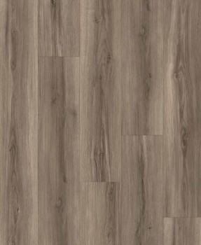 ������� Alpinext ������ ����� | Quick Style ���� ������������ ���. LF601-07