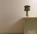 ���������� Wellton Decor ���� ���. WD810