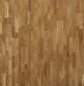 ��������� ����� Focus FLoor ��� ������� ������� ������ 3� ���. 3011278160300175
